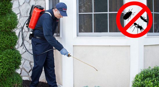 Dargeçit Böcek İlaçlama böcek ilaçlama ve haşere kontrolü — ilaclama-tr.com